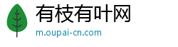 有枝有叶网